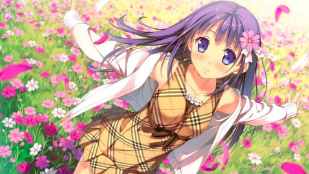 カントクさんのイラスト。お花畑にかわいい女の子❤　構図がとっても丁寧に描かれていて、全体的に見ても綺麗ですね。お花の髪飾りもかわいい～♪